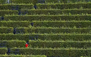 Green facade, made of over 30