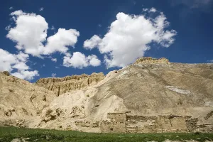 Green fields and mud house camouflaged in typical landscape of Ladakh