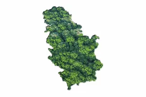 Green Forest Map of Serbia, on white background