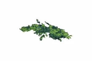 Green Forest Map of Virgin Islands US