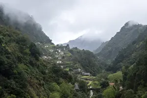 Green gorge with fog near Ribeiro Frio