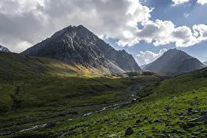 Green high valley with mountain stream