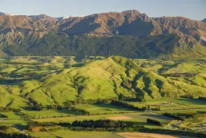 Green hills and meadows illuminated by warm morning light near Queenstown seen from the Remarkables
