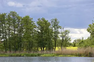 Green landscape on the riverbank with slightly cloudy sky