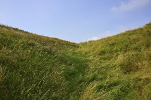 Green meadow of grass under clear blue sky