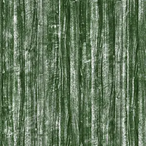 Green painted wood grain texture provides a rustic and natural background