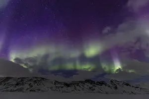 Green and purple northern lights
