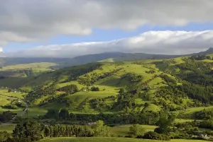 Green rolling hills, Banks Peninsula