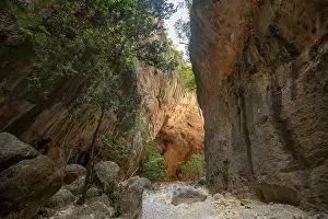 Green trees in the gorge, steep cliffs of the Garganta Verde