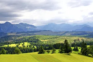 Green valley in the high mountains
