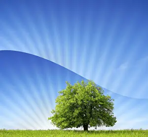 Green World