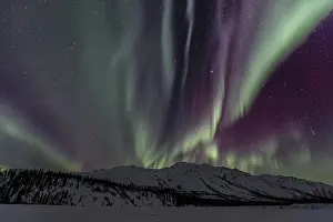Green, yellow and purple northern lights (aurora borealis) over snowy mountains