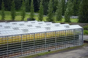 Greenhouse, Fludir, geothermal area, Iceland
