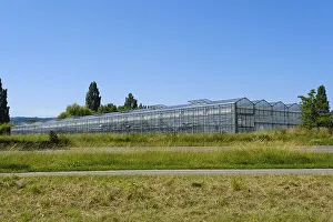 Greenhouses on Reichenau Island