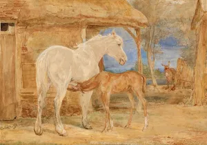 Grey Mare and Maroon Foal, 1846