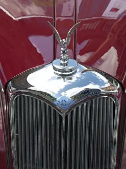 Grille with hood ornament of a classic Riley car