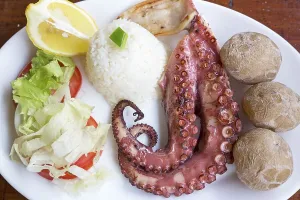 Grilled octopus with side dishes on a plate