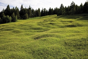 Groeblalm mountain pastures near Mittenwald