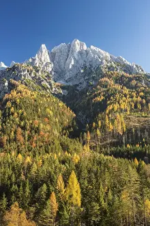 Category Mountain Landscapes Prints: Grosser Oedsten in autumn, Gesaeuse National Park