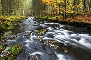 Grosser Regen river, autumn, Bavarian Forest National Park
