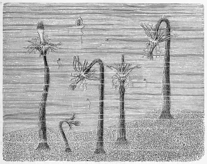 Group of Corymorphanutans together with alien jellyfish