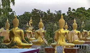 A group of golden Buddha statues at the Buddhist Cemetery