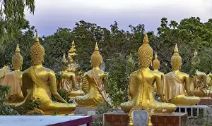 A group of golden Buddha statues at the Buddhist Cemetery