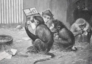Group of monkeys busy reading and looking at paper and a manicure set on a wooden floor