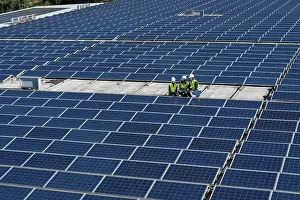 Group of renewable energy technicians reviewing plans and working on a vast array of photovoltaic solar panels