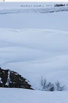 A group of skiers in the Stuor Reaiddavaggi valley