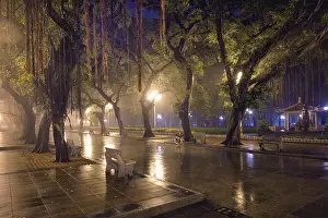 Guangzhou People's Park with mist fog at night