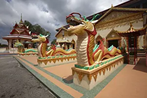 Guarding snakes at Wat Chayamangkalaram temple