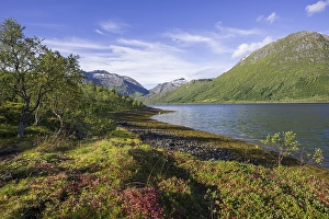 Category Scandinavia Prints: Gunnesfjord, Troms, Norway, Europe
