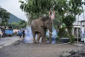 GUWAHATI, INDIA - AUGUST 14