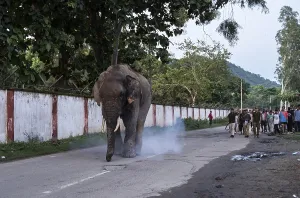 GUWAHATI, INDIA - AUGUST 14