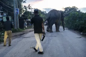GUWAHATI, INDIA - AUGUST 14