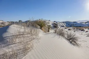 Gypsum dunefields at White Sands National Monument located within the Chihuahuan Desert