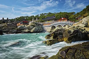 Category Buddhism Prints: Haedong Yonggungsa Temple on sea shore