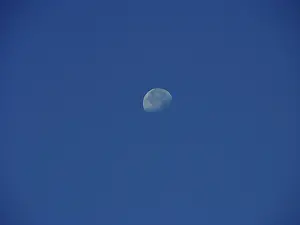 Half Moon