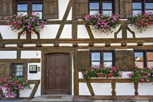 Half-timbered facade with geraniums (Pelargonium)