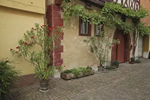 Half-timbered house with flower decoration and grapevine
