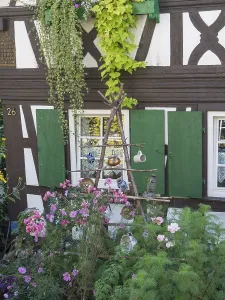 Half-timbered house with green shutters and pink flowers
