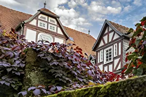 Framed Print : Half-timbered house with ivy and climbing plants against a cloudy sky