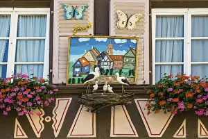 Half-timbered house in the old town