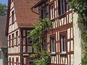 Framed Print : Half-timbered houses with ivy showing in sunlight