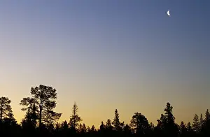 Halfmoon in Swedish Lappland, Sweden, Europe