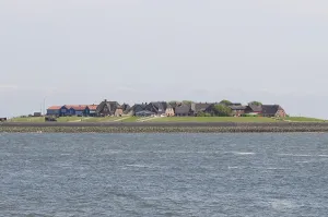 Hallig hooge (hooge)