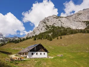 Halsalm, above the Reiteralpe, Ramsau bei Berchtesgaden