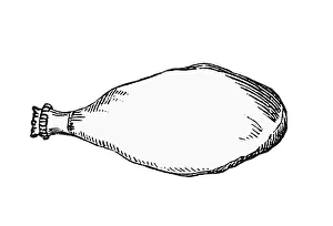 Ham, historical illustration from: Marie Adenfeller