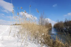 Hamm, North Rhine-Westphalia, Germany - Sunny winter landscape in the Ruhr area